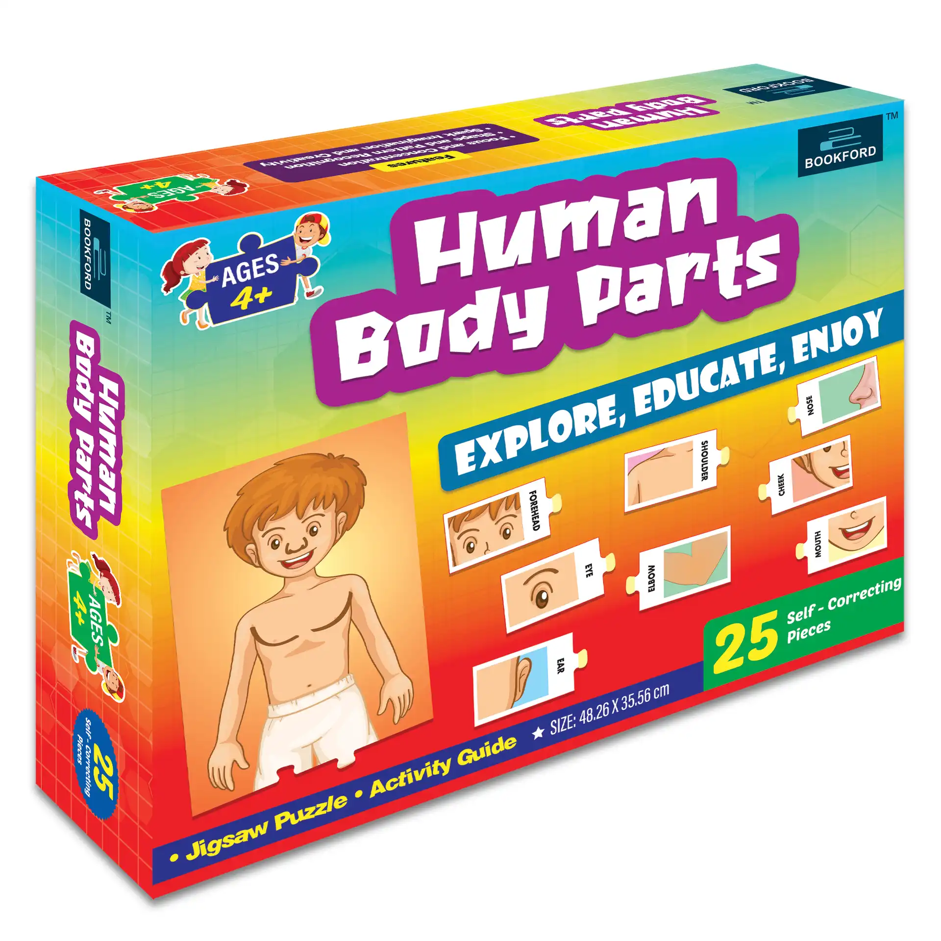 HUMAN BODY - PUZZLE