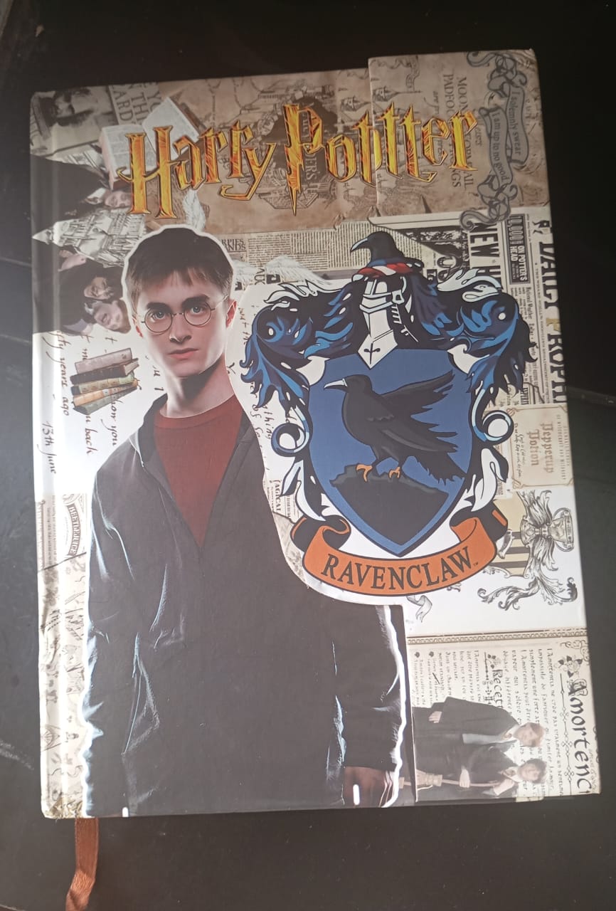 HARRY POTTER DAIRY / JOURNAL